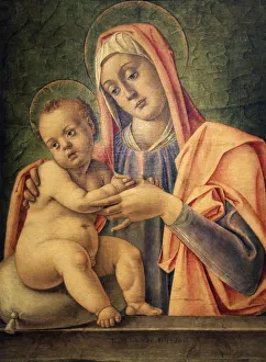 Madonna and Child, 1490. Artist: Bartolomeo Vivarini