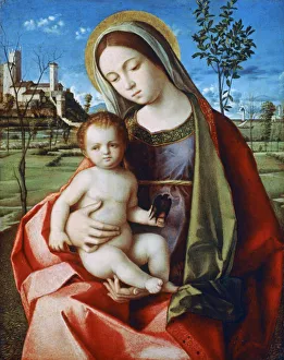 Madonna and Child, c1510. Artist: Workshop of Giovanni Bellini