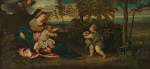 Chubby Collection: Madonna and Child and the Infant Saint John in a Landscape, 1540 / 1550