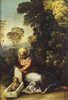 Galleria Nazionale Prints: Madonna with Child (La Zingarella), c. 1513. Artist: Dossi, Dosso (ca. 1486-1542)