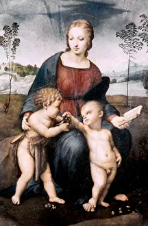 Goldfinch Prints: Madonna del Cardellino, 1507. Artist: Raphael