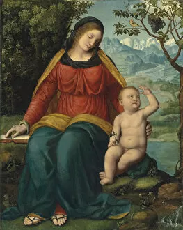 Milanese School Collection: Madonna del grappolo (Madonna of the Grapevine), 16th century
