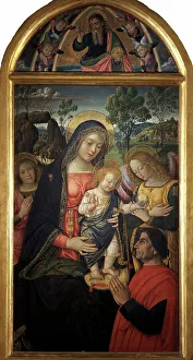 Madonna della Pace, ca 1489