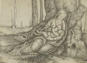 The Madonna nursing the Christ Child at the foot of a tree, ca. 1501-3. Creator: Jacopo de Barbari