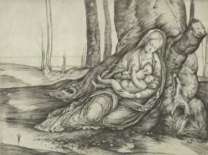 Mary Virgin Collection: The Madonna nursing the Christ Child at the foot of a tree, ca. 1502-3. Creator: Jacopo de Barbari