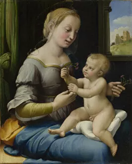 The Madonna of the Pinks (La Madonna dei Garofani), ca 1506-1507. Artist: Raphael (1483-1520)