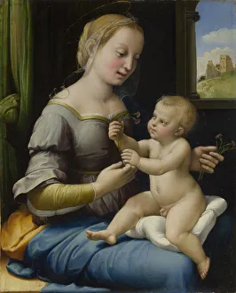 The Madonna of the Pinks (La Madonna dei Garofani), ca 1506-1507. Artist: Raphael (1483-1520) The Madonna of the Pinks (La Madonna dei Garofani), ca 1506-1507. Artist: Raphael (1483-1520)