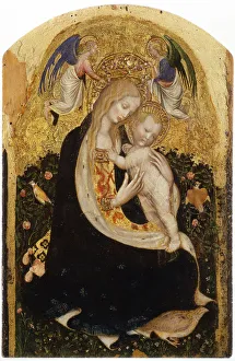 Virgin And Child Collection: Madonna of the Quail (Madonna della Quaglia)