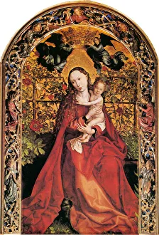 Madonna in Rose Garden, 1473. Artist: Schongauer, Martin (ca. 1445/50-1491) Madonna in Rose Garden, 1473. Artist: Schongauer, Martin (ca. 1445/50-1491)