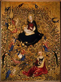 Verona Prints: The Madonna of the Rose Garden (Madonna del Roseto)