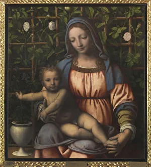 The Madonna of the Rose Garden (Madonna del Roseto)