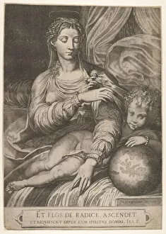 Domenico Gallery: Madonna of the Rose, she reaches for a rose held by the Christ child, who rests his lef