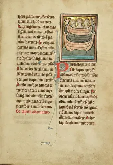 Bestiary Prints: A Magnet Stone; De Natura Avium; De Pastoribus et Ovibus; Bestiarium