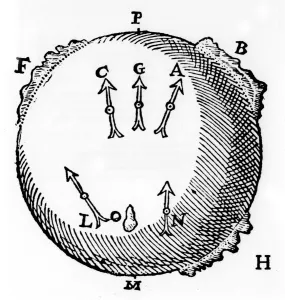 Magnetism, 1600