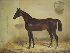 Stable Prints: Magnifique Bay Horse, 1853. Creator: Alexander Schwabe
