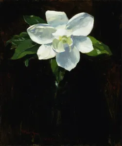 Magnolia Prints: Magnolia, 1895. Creator: Charles Walter Stetson