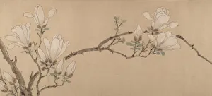 Magnolia Prints: Magnolia, dated 1549. Creator: Unknown