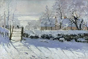 Images Dated 28th November 2013: The Magpie, 1869. Artist: Monet, Claude (1840-1926)