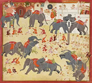 Elephants Gallery: Maharana Raj Singh observing an elephant fight, ca. 1670-1675. Creator: Unknown