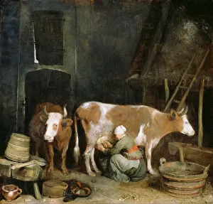 A Maid Milking a Cow in a Barn, 1652-1654. Artist: Ter Borch, Gerard, the Younger