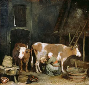 A Maid Milking a Cow in a Barn, 1652-1654. Artist: Ter Borch, Gerard, the Younger A Maid Milking a Cow in a Barn, 1652-1654. Artist: Ter Borch, Gerard, the Younger
