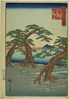 Rissho Prints: Maiko Beach, Banshu Province (Banshu Maiko no hama) from the series One Hundred Famous Vi