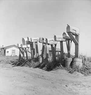 Mail boxes of lettuce workers. Settlement on outskirts of Salinas, California, 1939. Creator: Dorothea Lange