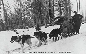 British Columbia Prints: Mail team before railroad came, between c1900 and c1930. Creator: Unknown