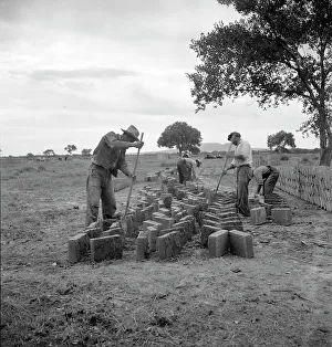 Making Prints: Making adobe bricks, Bosque Farms project, New Mexico, 1935. Creator: Dorothea Lange