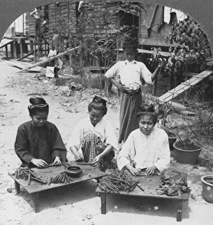 Supervisor Prints: Making the huge cigars smoked by women, Burma, 1908. Artist: Stereo Travel Co