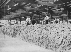 The making of khaki - Wool blending, 1915