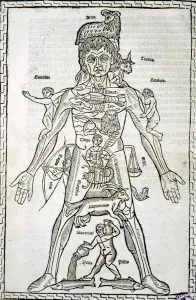 National Library Prints: Male body with signs of the Zodiac, sheet in the work Epilogue of medicine and surgery