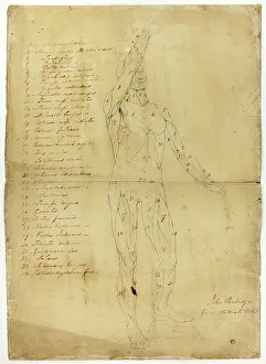 Male Ecorché, c. 1810. Creator: John Partridge