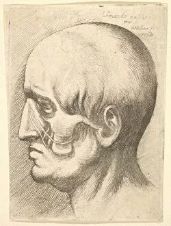 Male head in profile to left with muscles exposed, 1660. Creator: Wenceslaus Hollar