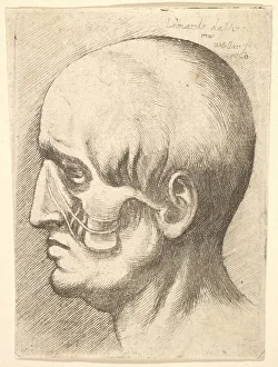 Da Vinci Leonardo Prints: Male head in profile to left with muscles exposed, 1660. Creator: Wenceslaus Hollar