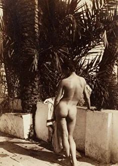 Palm Trees Prints: Male Nude, 1890. Creator: Count Wilhelm von Gloeden