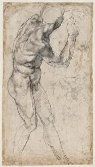 Michelangelo 1475 1564 Prints: Male nude, turning to the right