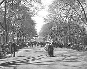The Mall, Central Park, New York, USA, c1900. Creator: Unknown