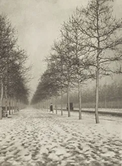 Photograph Album Prints: The Mall in winter. From the album: Photograph album - London, 1920s. Creator: Harry Moult