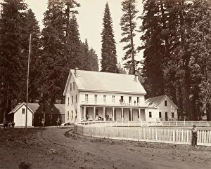 Sequoiadendron Giganteum Prints: Mammoth Grove Hotel, ca. 1872, printed ca. 1876. Creator: Carleton Emmons Watkins