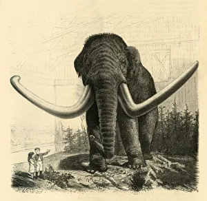 Leningrad Prints: The Mammoth of St. Petersburg, 1883. Creator: Unknown