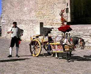 Accordion Gallery: Man with accordion and decorated pony and cart, Erice, Sicily