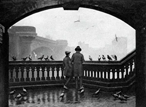 A man and a boy feeding the birds by Blackfriars Bridge, London, 1926-1927