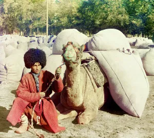 Turkman Prints: Man with camel loaded with packs
