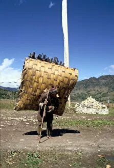 Himalayas Collection: Man carrying a huge load, Bumthang, Bhutan