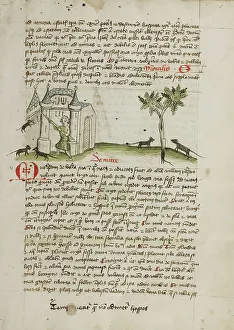 A Man Chasing Mice Away from his House; Fables, third quarter of 15th century. Creator: Unknown