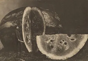Carbon Print Prints: Man Cutting Watermelon, 1898-1903. Creator: Johnson