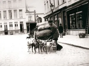 Dogcart Gallery: Man with dogcart, Antwerp, 1898. Artist: James Batkin