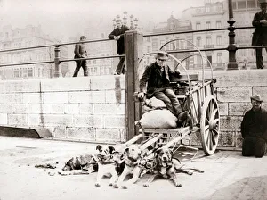 Man with dogcart, Antwerp, 1898. Artist: James Batkin