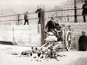 Dogcart Gallery: Man with dogcart, Antwerp, 1898.Artist: James Batkin